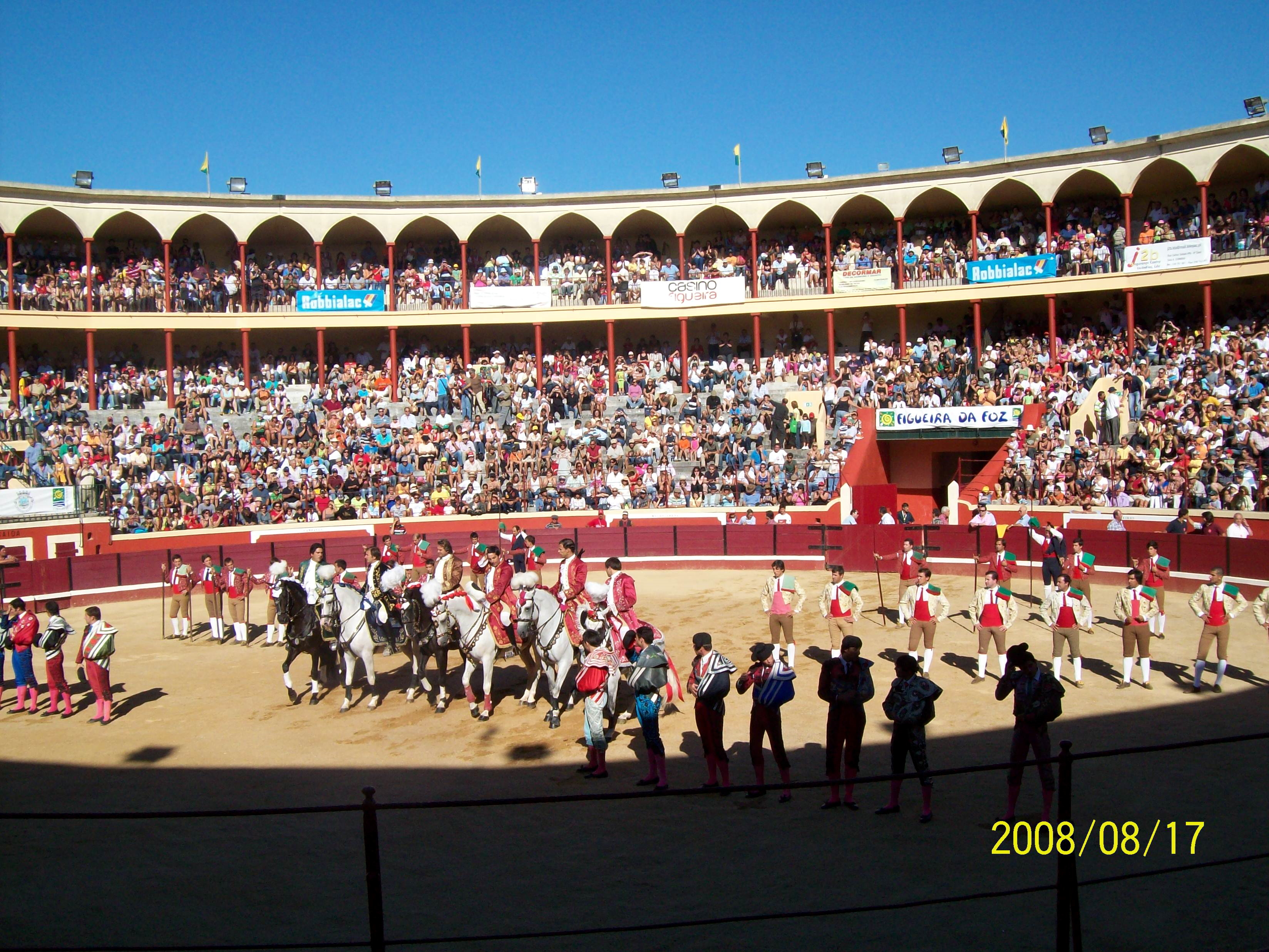 FdF_Bullfighting_2008_-_4